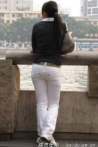丰碑杨门